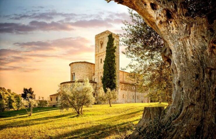 From Siena: San Gimignano, Montalcino & Wine Tasting - Activity Details