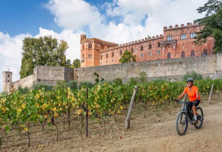 From Siena to Castello Di Brolio:E-Bike Tour+Shuttle Service - Tour Overview and Pricing