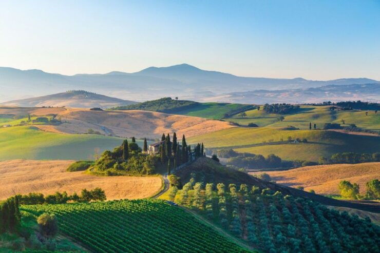 From Siena: Val D'Orcia Wine Tour - Booking Details