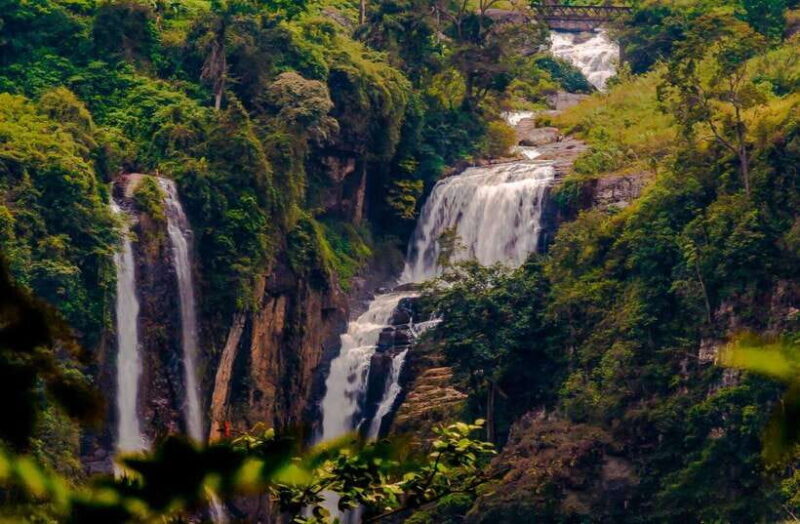 From Sigiriya: 6-Day Sri Lanka Tour with Yala Safari - Good To Know