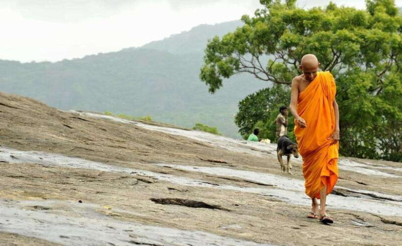 From Sigiriya: 6-Day Sri Lanka Tour with Yala Safari - Day 6: Galle and South Coast