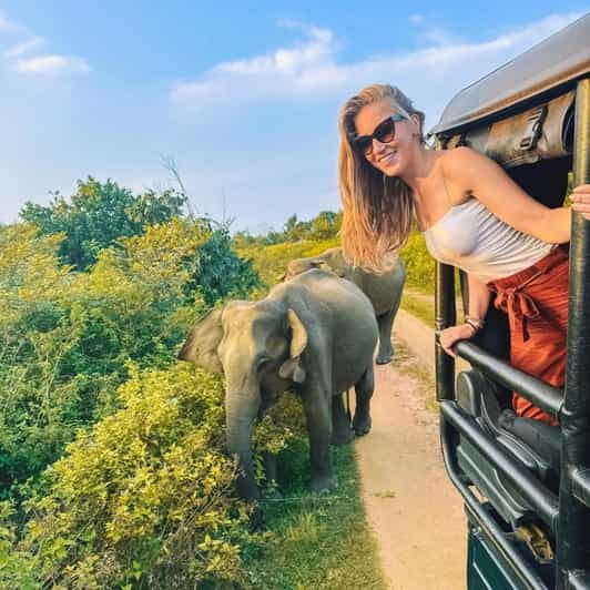 From Sigiriya : Hurulu Eco Park Safari : All Inclusive - Good To Know