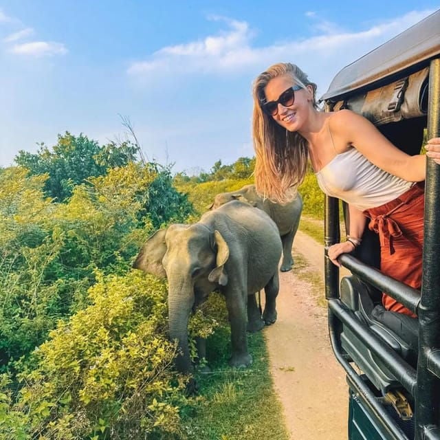 From Sigiriya : Hurulu Eco Park Safari : All Inclusive - Safari Duration and Pricing