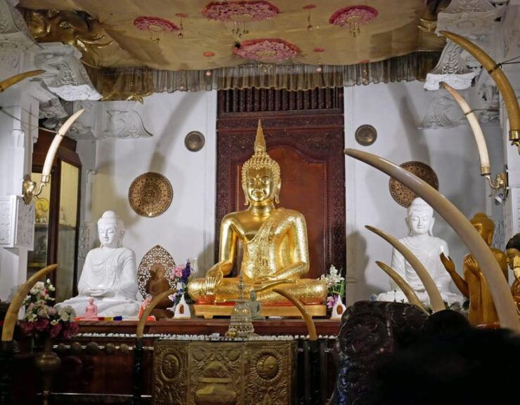 From Sigiriya: Kandy Transfer With Dambulla and Spice Garden - Good To Know