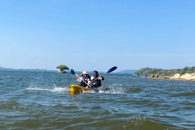From Sigiriya: Kayaking Through Floating Flowers at Kanthale - FAQ
