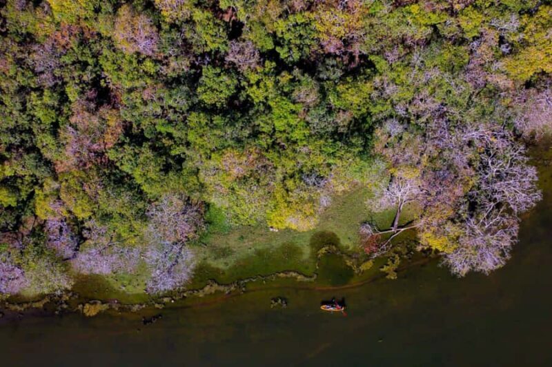 From Sigiriya: Kayaking Through Floating Flowers at Kanthale - Practical Details and Considerations