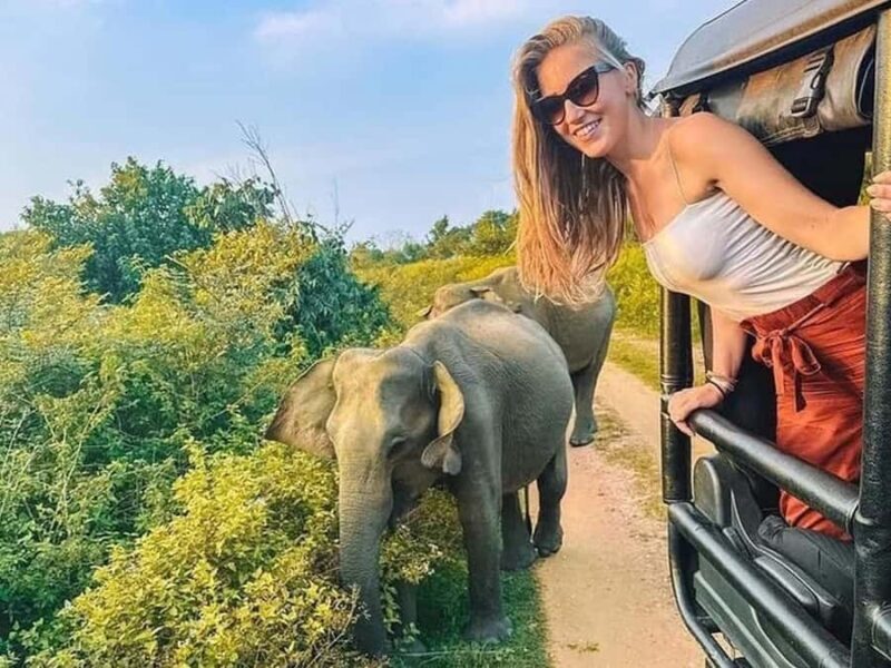 From Sigiriya: Minneriya National Park Eco Jeep Safari - Final Summary