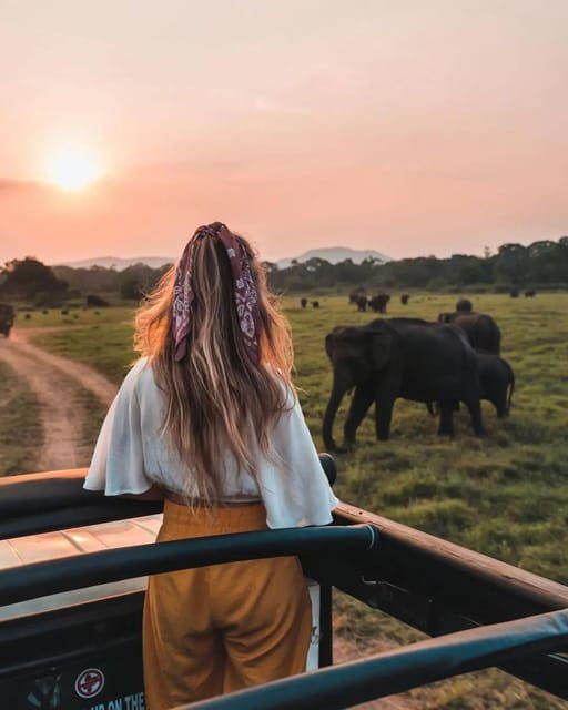 From Sigiriya: Minneriya National Park Elephant Safari - Wildlife and Ecosystem Insights