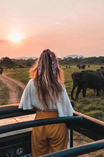 From Sigiriya: Minneriya National Park Elephant Safari - Booking and Cancellation Policies