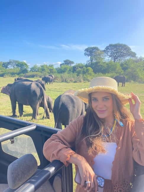 From Sigiriya: Minneriya National Park Private Jeep Safari - Good To Know