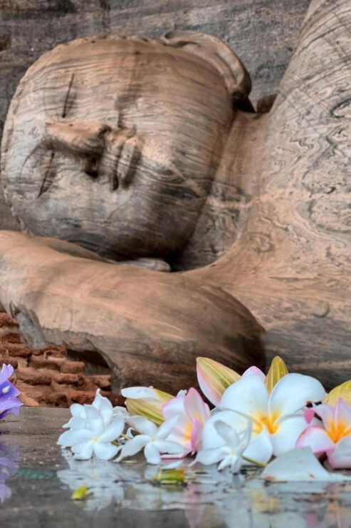 From Sigiriya :Polonnaruwa Ancient City Tour/Day Tour - Good To Know
