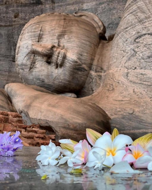 From Sigiriya :Polonnaruwa Ancient City Tour/Day Tour - Wildlife and Nature Encounters