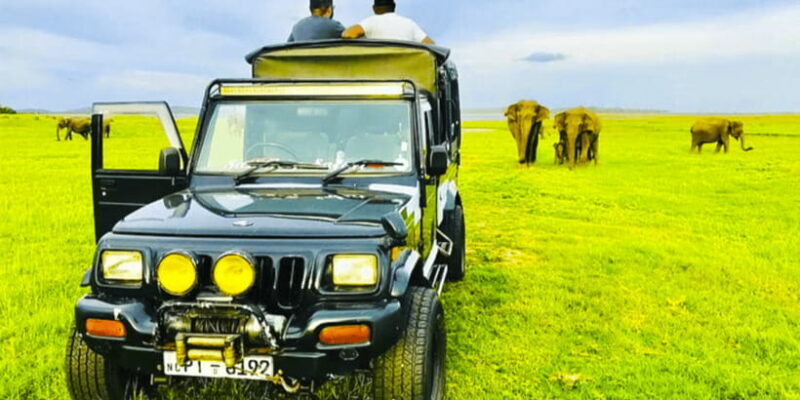 From Sigiriya: Private 4X4 Safari to Where the Elephants Are - Who Will Love This Safari?