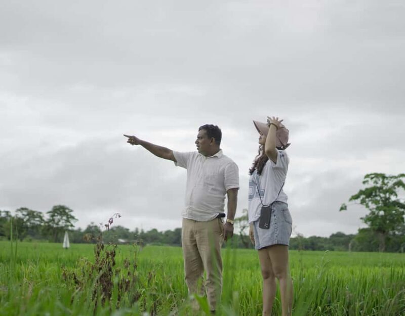 From Sigiriya: Sigiriya and Dambulla Day Tour - The Sum Up: Who Should Consider This Tour?