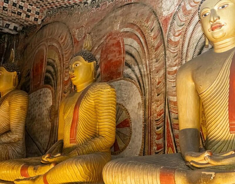 From Sigiriya: Sigiriya and Dambulla Day Tour - What to Expect: A Deep Dive into the Day