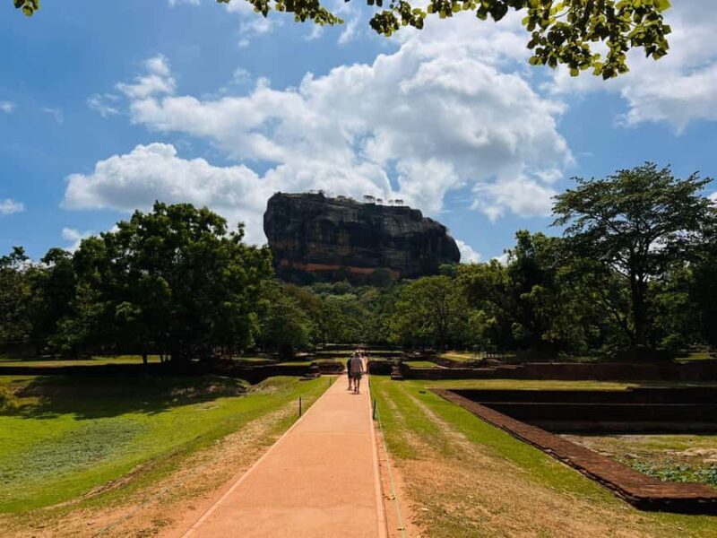 From Sigiriya: Sigiriya Lion Rock and Minneriya Jeep Safari - The Minneriya Safari: A Wildlife Wonderland