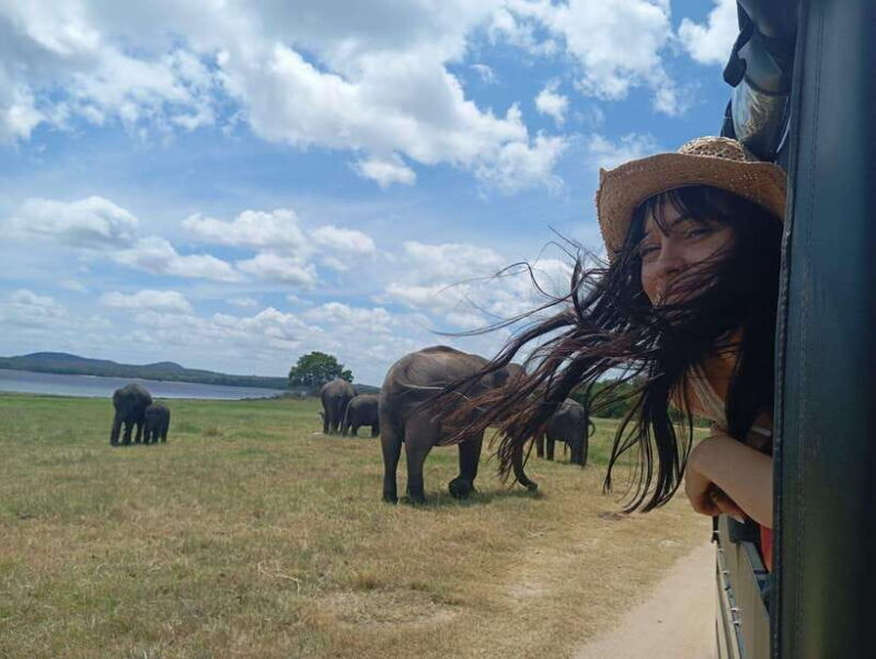 From Sigiriya: Sigiriya Lion Rock and Minneriya Jeep Safari - Authentic Experiences and Guide Insights