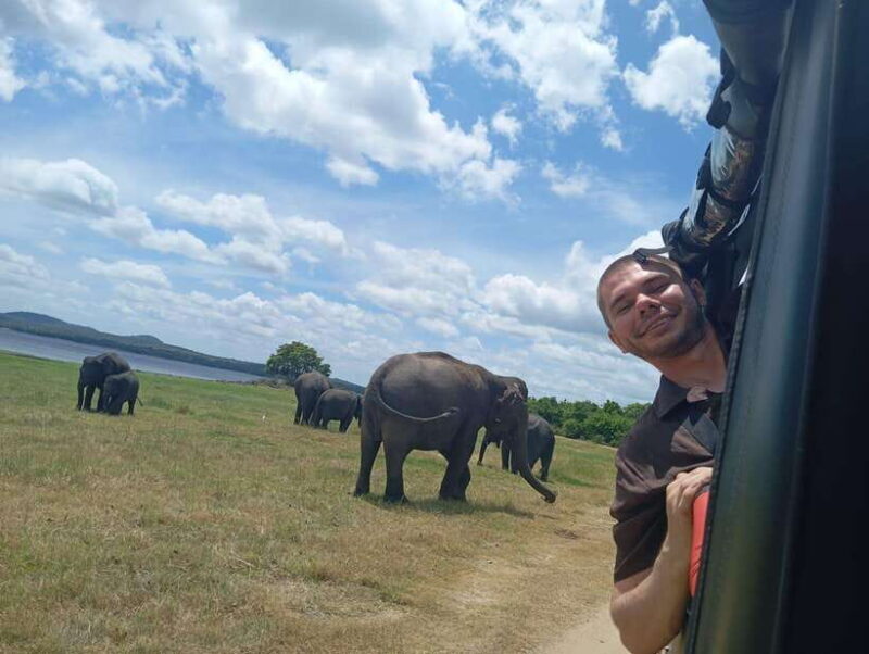 From Sigiriya: Sigiriya Lion Rock and Minneriya Jeep Safari - The Sum Up: Who Is This Tour For?