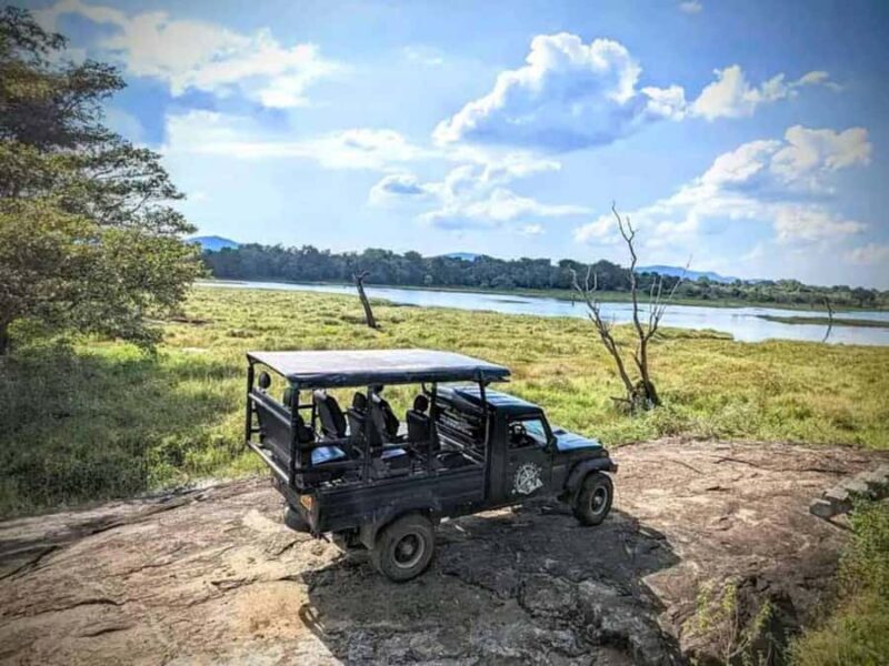 From Sigiriya: Wasgamuwa National Park Safari Adventure - Transport, Timing, and Group Size