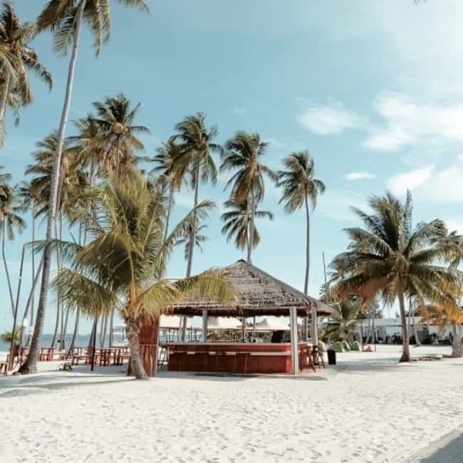 From Singapore : Private Batam Island Snorkeling and Canoe - Who Should Consider This Tour?