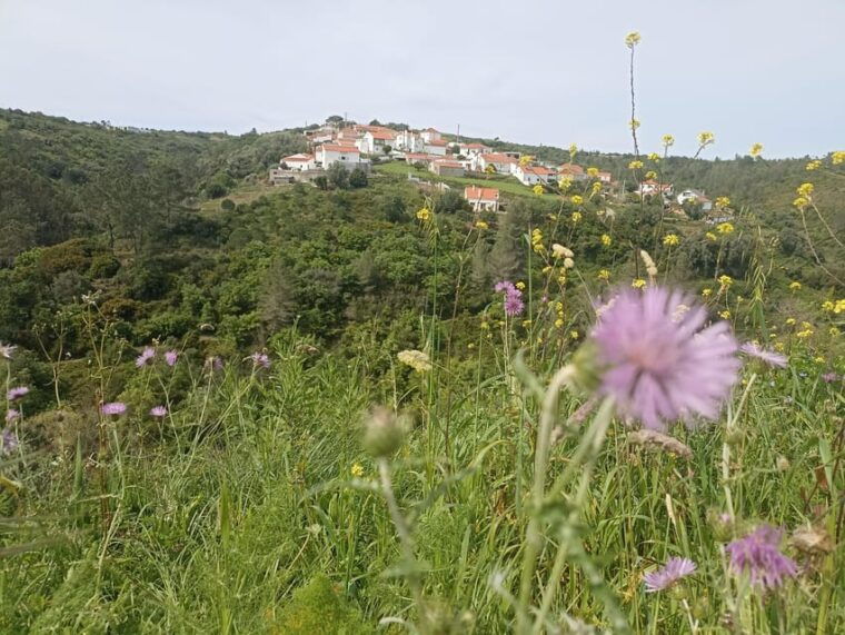 From Sintra, Mafra, or Ericeira: Hike and Wine Tour - Who Will Love This Tour?
