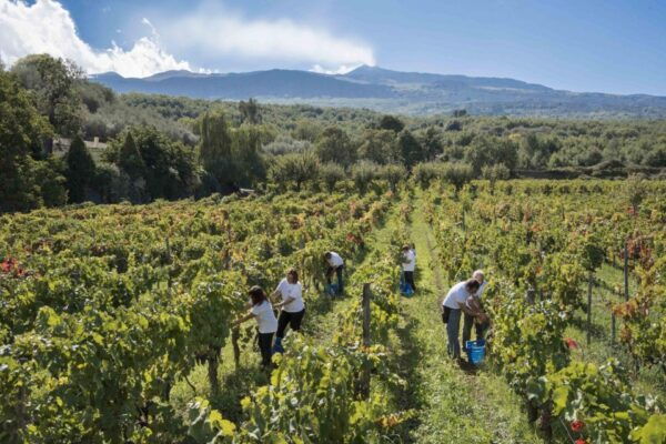 From Siracusa Day Tour To Etna Volcano, Winery and Taormina - Experience