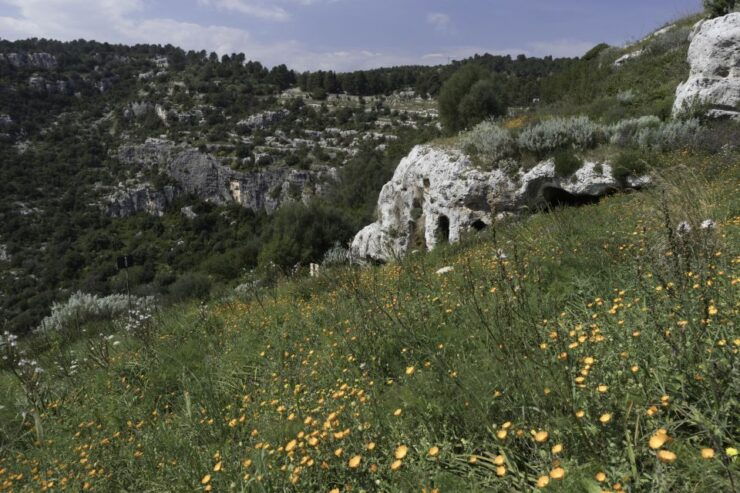 From Siracusa: Pantalica Nature Reserve Guided Hiking Tour - Tour Duration and Flexibility