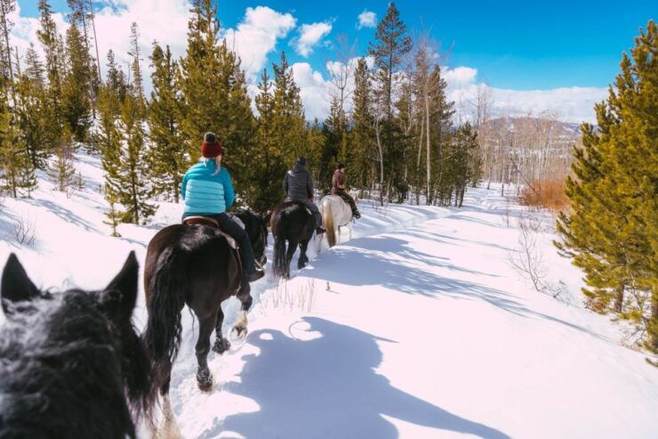 From Sirkka: Guided Wilderness Horse Riding Experience - Activity Details
