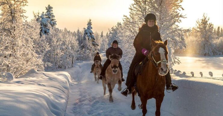 From Sirkka: Guided Wilderness Horse Riding Experience - Experience Highlights