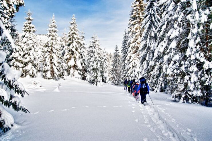 From Sirkka: Levi Summit Guided Nature Snowshoeing Tour - Experience Highlights