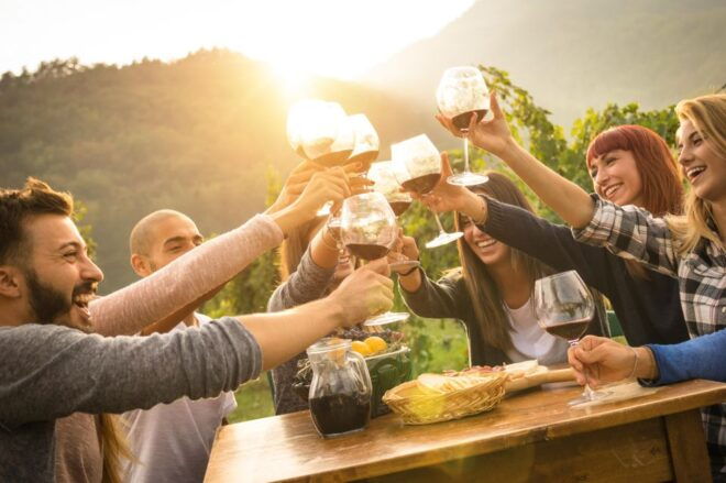 From Sirmione: Lugana Wine Tour - Customer Reviews