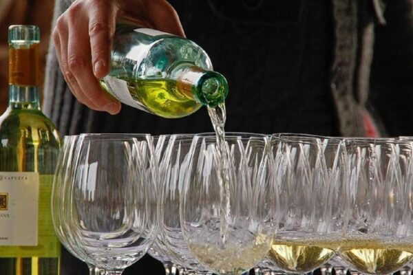 From Sirmione: Lugana Wine Tour - Lugana Wine & Food Pairing
