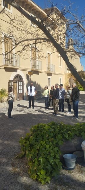 From Sitges: Wine Tasting at 2 Wineries, Snacks and Pickup - Transportation Details