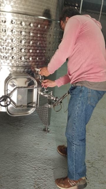 From Sitges: Wine Tasting at 2 Wineries, Snacks and Pickup - Winery Visits and Wine Tasting