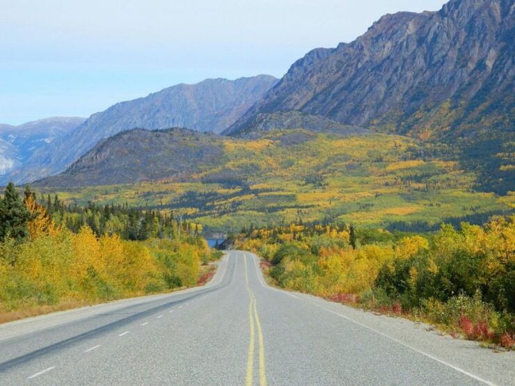 From Skagway: Skagway City & White Pass Summit Guided Tour - Tour Activity Details
