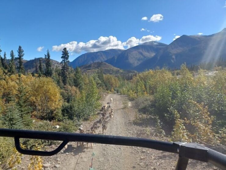 From Skagway: Yukon Sled Dog Mushing & White Pass Combo - Activity Details