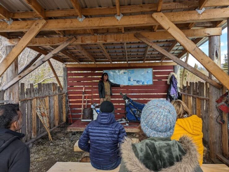 From Skagway: Yukon Sled Dog Mushing & White Pass Combo - Free Cancellation and Duration