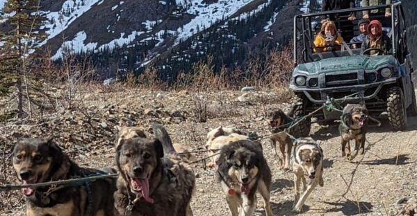 From Skagway: Yukon Sled Dog Mushing & White Pass Combo - Common Questions