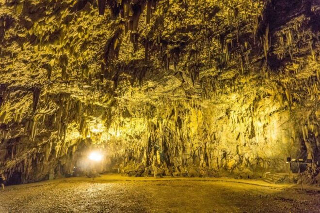 From Skala Area: Kefalonia Highlights Tour Shore Excursion - Booking Information