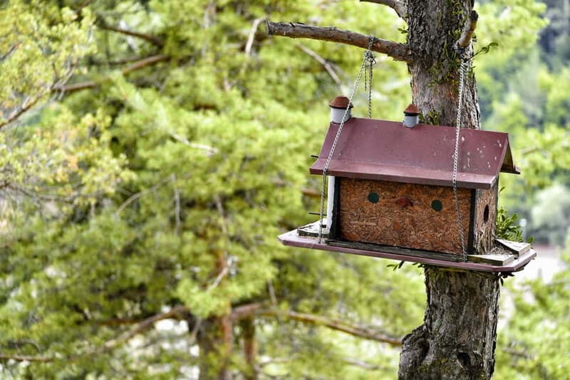 From Skopje: Berovo Full Day Tour and Hike - Good To Know