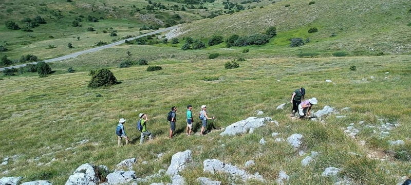 From Skopje: Ohrid and Magaro Peak Hike on Galicica Mountain - Reaching Magaro Peak: A View Worth the Climb