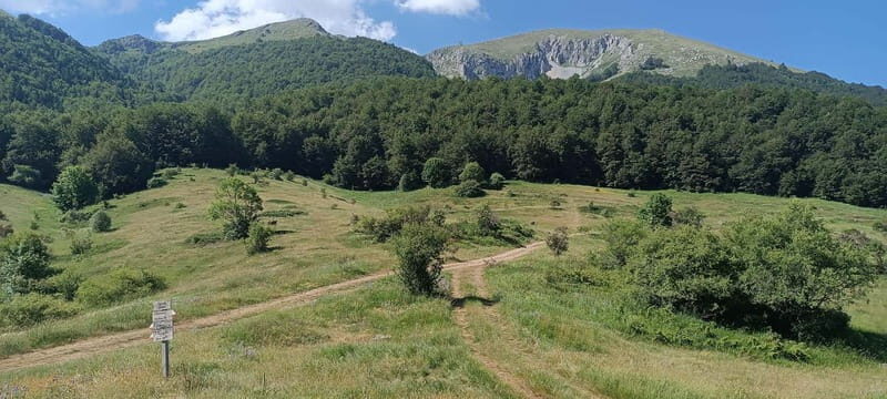 From Skopje: Ohrid and Magaro Peak Hike on Galicica Mountain - Returning to Skopje and Ohrid