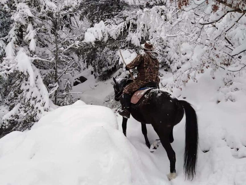From Smolyan: Waterfalls Canyon Horseback Riding Tour - The Experience: What You Can Expect