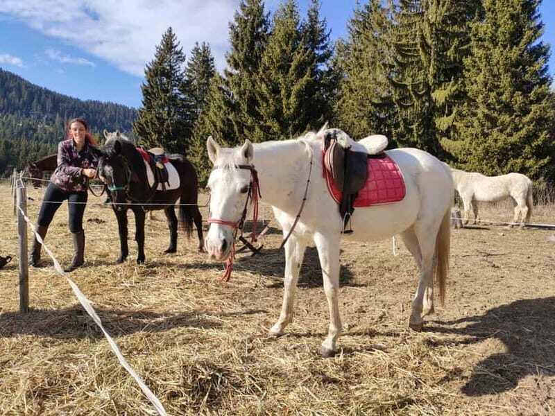 From Smolyan: Waterfalls Canyon Horseback Riding Tour - Practical Details & Considerations