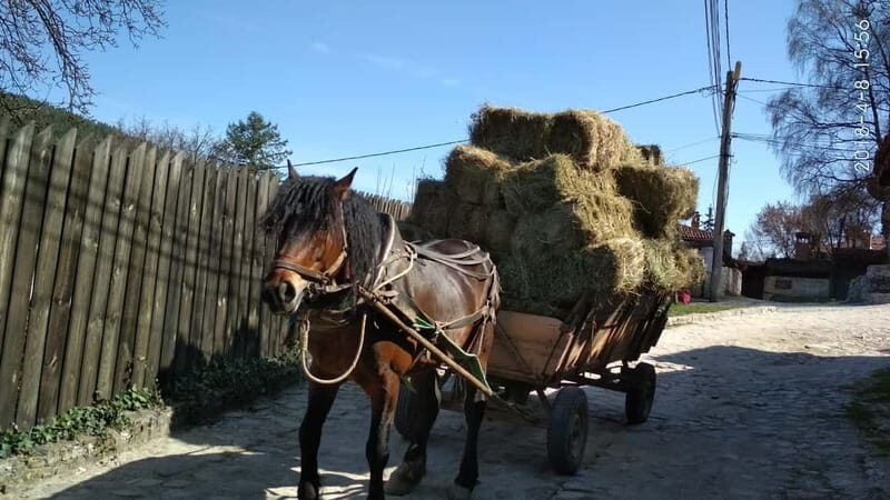 From Sofia: Koprivshtitsa, Starosel, and Wine Tasting Tour - An In-Depth Look at the Tour Experience