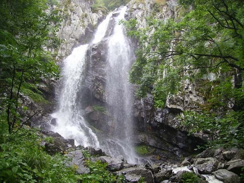 From Sofia: One-Day Tour of Vitosha Mountain - An In-Depth Look at the Tour Experience