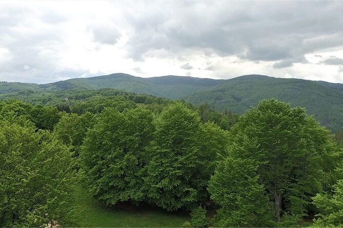 From Sofia: Serbia and Macedonia Trip - Reviews and Recommendations
