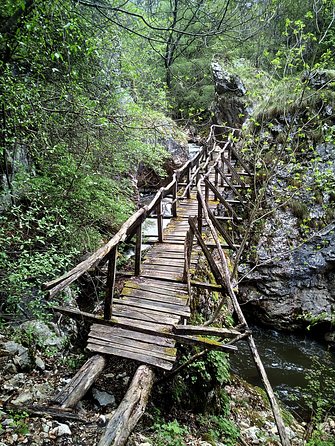 From Sofia: the Gorges of Trun and Dragovski Stone Trail - Reviews