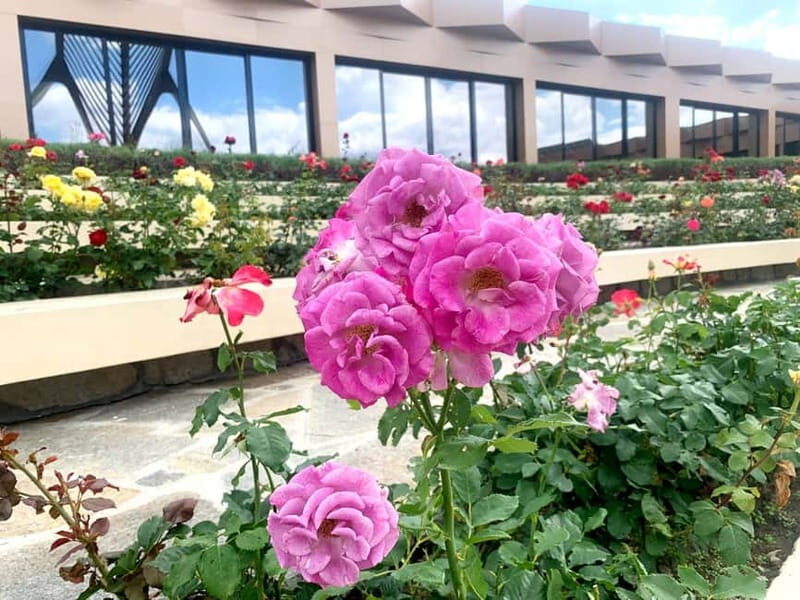 From Sofia: The Rose Valley & Buzludzha Monument 12 hrs Tour - Final Thoughts