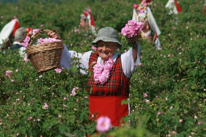 From Sofia: The Rose Valley & Koprivshtitsa 12 hrs Day Tour - Good To Know